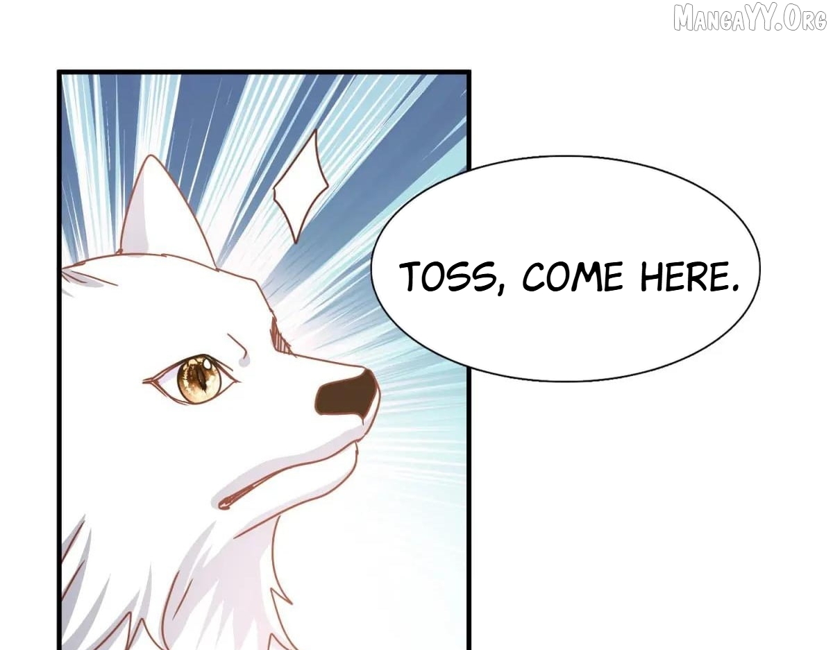 Don't Embarrass Me Chapter 182 - page 53
